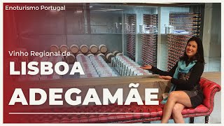 Vinho Regional de Lisboa, da ADEGA MÃE - Enoturismo Portugal 🍷
