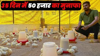 कम्पनी से जुड़कर मुर्गी पालन | Poultry Farming in India |  किसानो को कितना फायदा ?