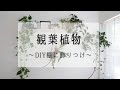 【観葉植物】インドアプランツたちをオシャレに飾ってみた♫手作りDIY棚に、ただ並べるだけの動画です！！How to decorate the shelf with house plants