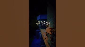 وأوحى ربك إلى النحل أن اتخذي من الجبال بيوتا ومن الشجر ومما يعرشون ..النحل(68).. القارئ خالد الجليل