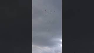 #jenNYCsaidStopAndEnjoyNatureEveryDay