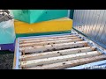 🐝 Пасека 2018 #2: весенняя ревизия