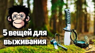 5 лучших вещей для выживания