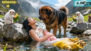 Cô Gái Mang Thai Con Với Tổng Tài Bị Tiểu Tam Hãm Hại Ném Xuống Vực May Mắn Sống Sót Bò Lên Báo Thù