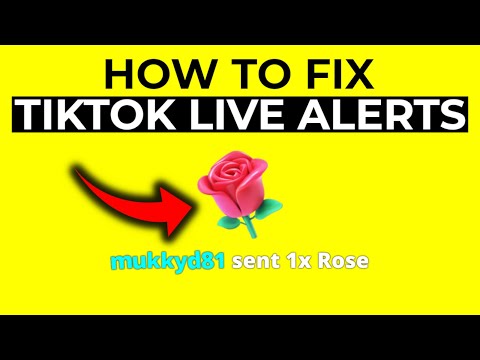 How To Fix Errors With TikTok Live Alerts