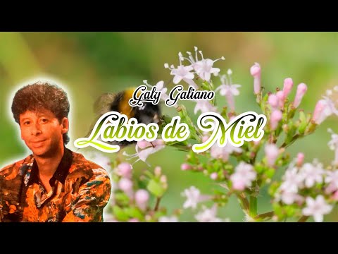 Galy Galiano – Labios de Miel (Letra/Oficial) - Balada Romántica