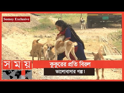 ভিডিও: কুকুর আশ্রয়