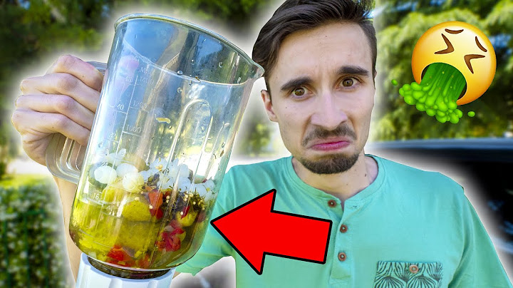 I FRULLATI PIÙ DISGUSTOSI DEL MONDO!! Smoothie Challenge