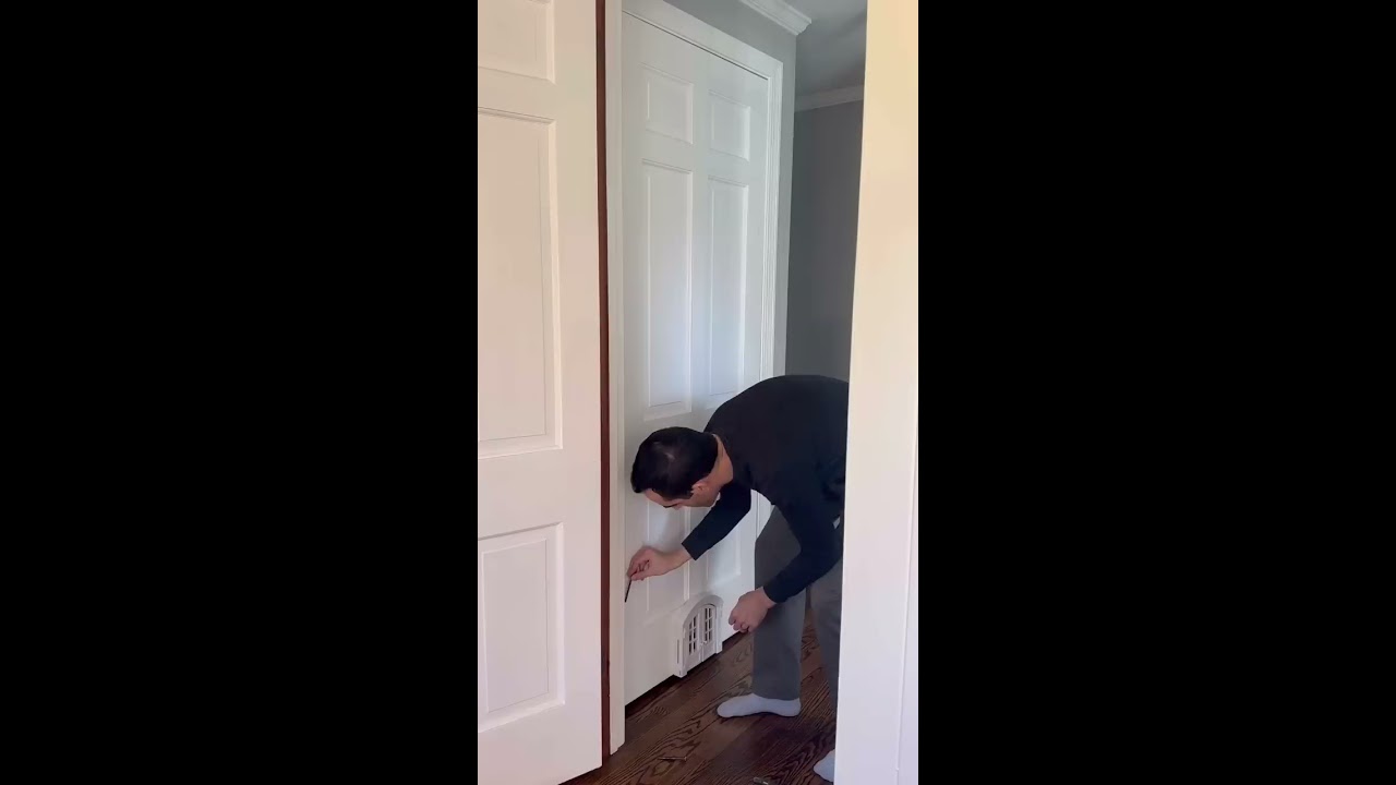 I Gave My Cats Their Own French Door Purrfect Portal