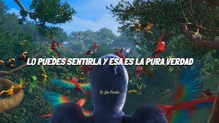Rio - Real En Rio Canción Completa Latino Letra
