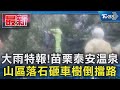 大雨特報!苗栗泰安溫泉 山區落石砸車樹倒擋路｜TVBS新聞 @TVBSNEWS01