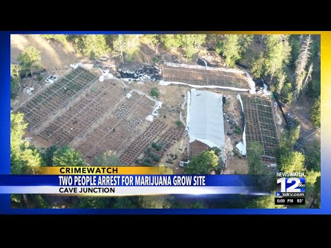 Two people arrested after police uncover illegal marijuana grow site in Cave Junction