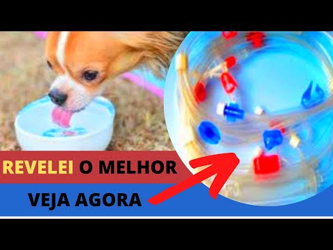Vídeo: Como parar um cachorro de rosnar por causa de brinquedos