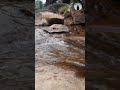 බැස සීතල ගගුලෙන් පීන පීන නාමුකෝ නගෝ - Seetha gangula adams peak travel short