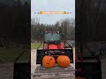 Skeleton Pumpkin Delivery in the Kubota LX3310!! Who knew skeletons could drive!! Happy Halloween!!