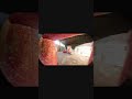 Epic HEADSHOTS from pistols [Пивозавр] #bodycam #bodycamgame
