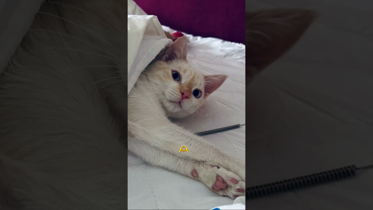 #доброеутро