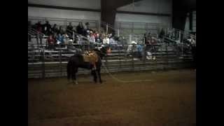 McCook 2012-Cole Rodeo 1