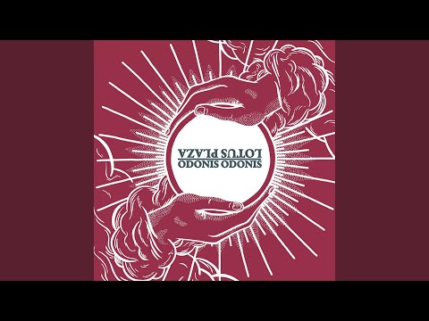 Lotus Plaza — Out of Touch