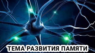 Основа развития интеллекта screenshot 5