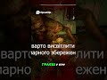 S T A L K E R  2 у 2K  І як Steam Cloud рятує гравців у GeForce Now