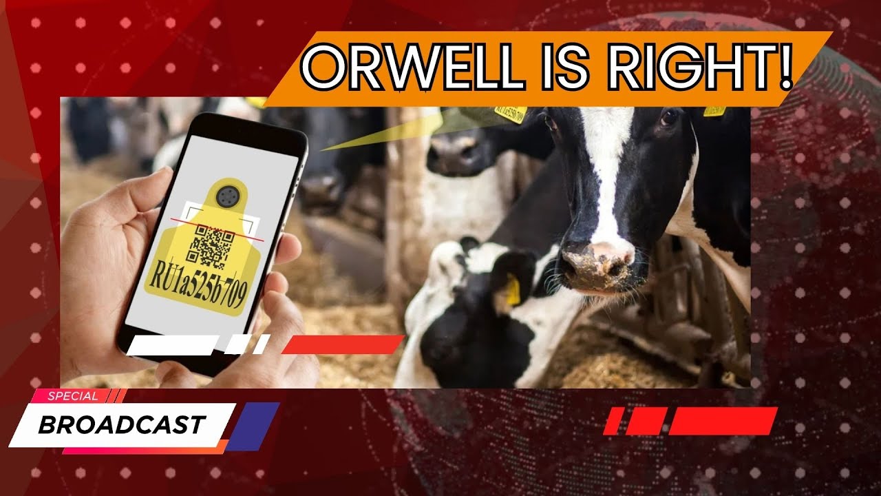 Когда наступит Цифровой Концлагерь? | Total surveillance of people