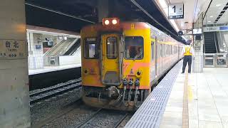 再會啦！DR2900.3000型柴自強 407次柴自強台北出站