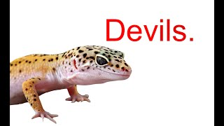 The Controversy That Is Changing The Reptile Hobby