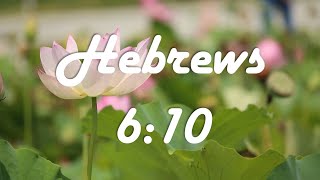 God's Promises | Hebrews 6:10 |  I will not forget the love you have shown Me by serving others