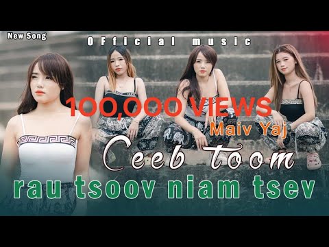 Video: Kuv yuav xa cov ntawv ceeb toom rau APN li cas?