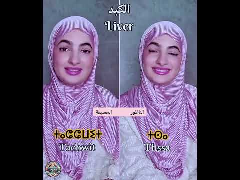 الريفية تعلم الامازيغية تيفيناغ اكسبلور الأمازيغية تعلم تعليم تيك توك