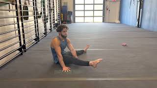 Seated Straddle Compression Leg Lifts
