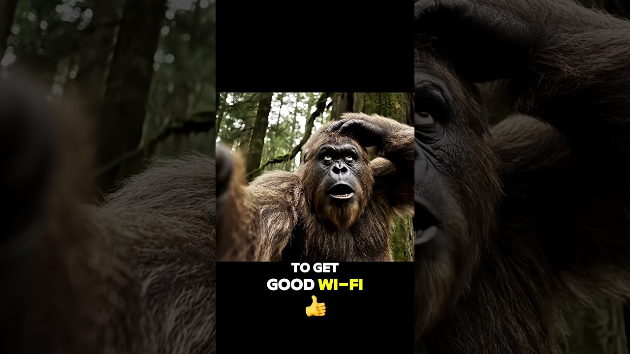 Day in the Life of a Hungry Bigfoot (Spoiler: It’s Granola Season!) 