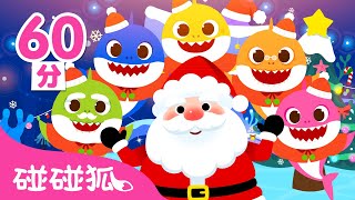 聖誕節就快要到啦！🎄Last Christmas 鯊魚寶寶 聖誕節兒歌 回味合集｜台灣配音 中文+英語 經典兒歌 連續播放｜Baby Shark 碰碰狐 Pinkfong!