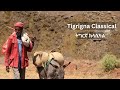 ትግርኛ ክላሲካል Tigrigna Classical