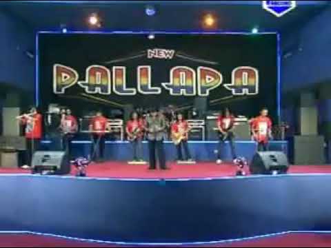 New pallapa ft caca handika - cincin putih