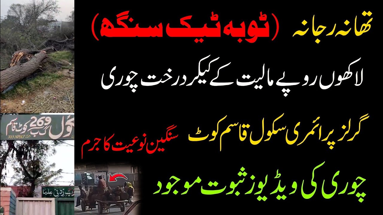 Toba tek singh Thana Rjana. Lakhou Rupay k Keekar k darakhat chori. Video saboot mojood.