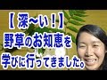 【深〜い】野草のお知恵をお知恵を学びに行ってきました。