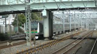 横須賀線E217系・湘南新宿ラインE233系+E231系・上野東京ラインE231系 新子安通過