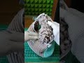 Сумка-мешок для стирки 🧺 в стиральной машинке | 🌀 Надежная защита вещей и стиральной машинки | Обзор