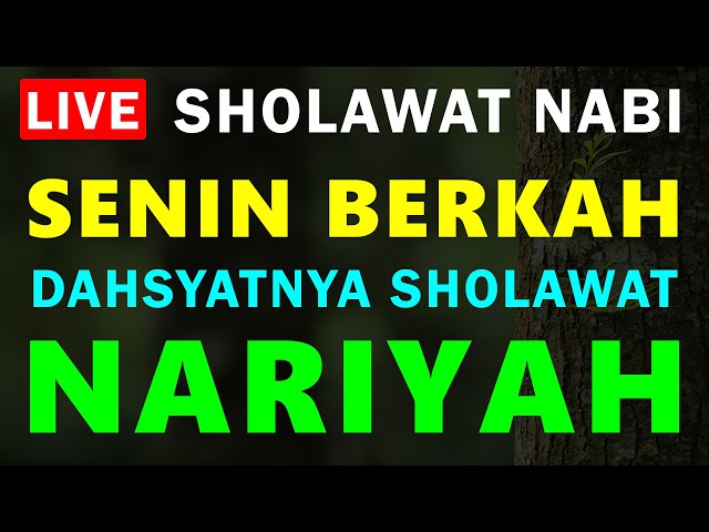 Sholawat Nariyah || Sholawat Tanpa Musik || Dimudahkan Segala Urusan & Dikabulkan Segala Hajat #52 class=