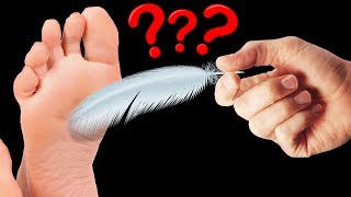 Lehetséges-e Valakit HALÁLRA CSIKIZNI ❓❓❓
IRATKOZZ FEL ||| https://goo.gl/JYlg92 |||
MÉG TÖBB VIDEÓ ||| https://www.youtube.com/watch?v=SWvlxgR_Sqo&list=PLeLkJfGrgDemtQwe4MKuAYXrqrBgnB_eP |||
Lehetséges-e Valakit HALÁLRA CSIKIZNI ❓❓❓
Sokan szeretnek unalmas pillanataikban az interneten szörfözgetni és különféle érdekes dologról olvasgatni és mivel én is csak egy ember vagyok sokszor én is ezt teszem.
néhány nappal ezelőtt egy floridai anyukáról és a lányáról szóló sztori eléggé magával ragadott és felvetette bennem azt a kérdést, hogy lehetséges e az, hogy valakit addig csikizzenek, míg az az életét veszti.
Lehetséges e az, hogy egy ártatlannak tűnő kis csikizés a gyerekeddel, vagy a testvéreddel egy hatalmas tragédiába torkoljon.
Ha szeretnéd megtudni, hogy milyen komoly veszélyeket rejteget a csikizés, akkor dőlj hátra, tekerd fel a hangerőt ugyanis a mai videóból megtudhatod, hogy miért ne csikizz meg soha senkit ettől a pillanattól kezdve.
#legjobb #magyar #top10 Lehetséges-e Valakit HALÁLRA CSIKIZNI ❓❓❓
