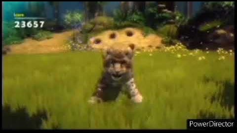 What Did You Think About My Excellent Amazingness Awesomeness Wildest Zoo Trick?.