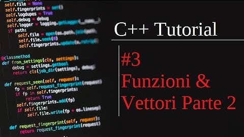 funzioni e vettori Lez4 - Esercizi universitari c++