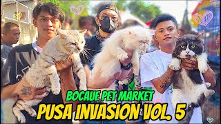 Bocaue Pet Market | Pusa Invasion Vol.5 | August 11, 2023 | Part 6