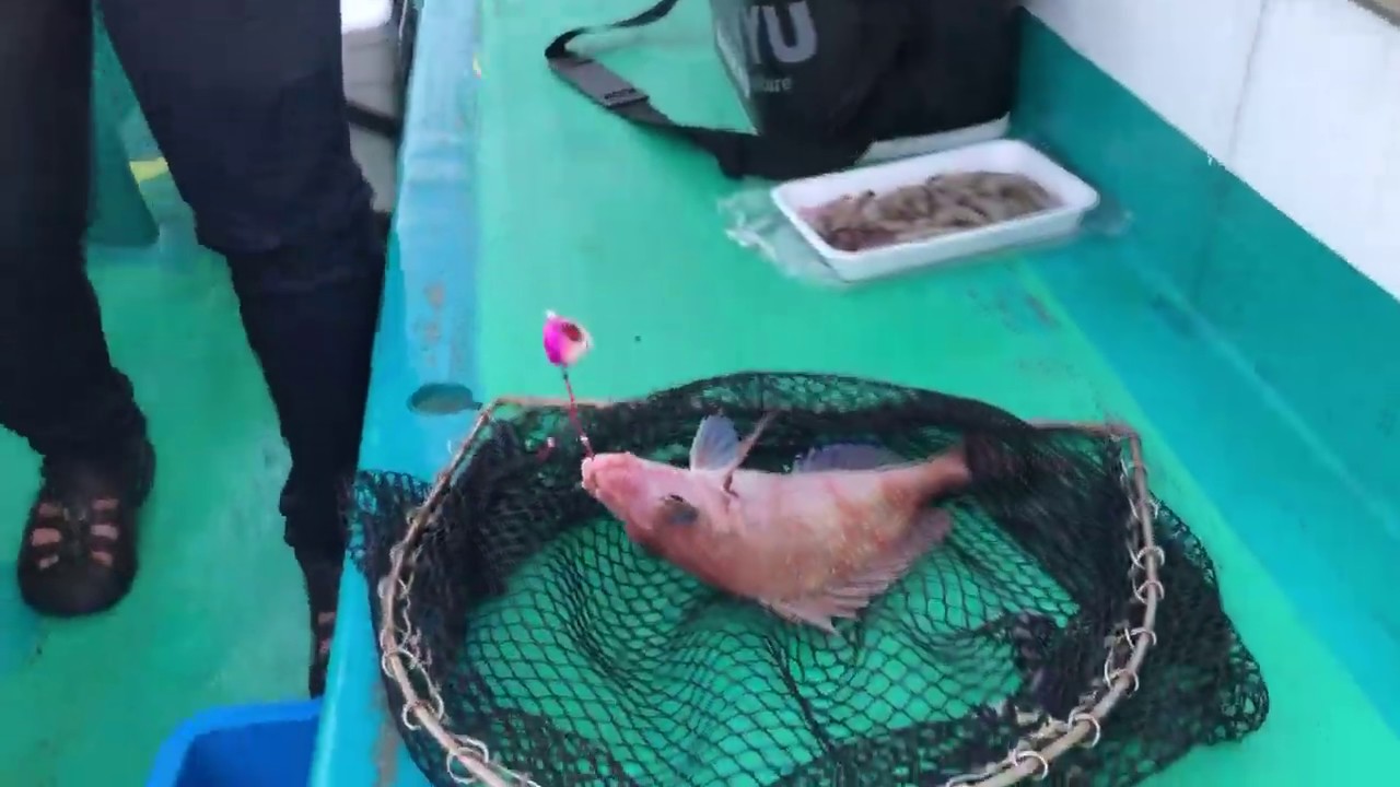 関西地方の釣り船一覧 つりー