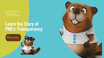 PNG and Transparency: A Seamless Blend