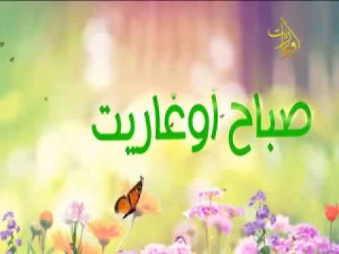 أهمية المكتبات في حياة الفرد