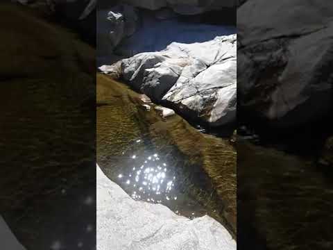 ياوجودي على الروحه وياوجد حالي جزل القصيد شعر شيلات روعه 