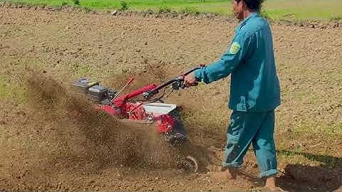 Máy chuyên vun mía,ngô,khoai xới đất đa năng Mitsubishi TL60R Tiến Linh